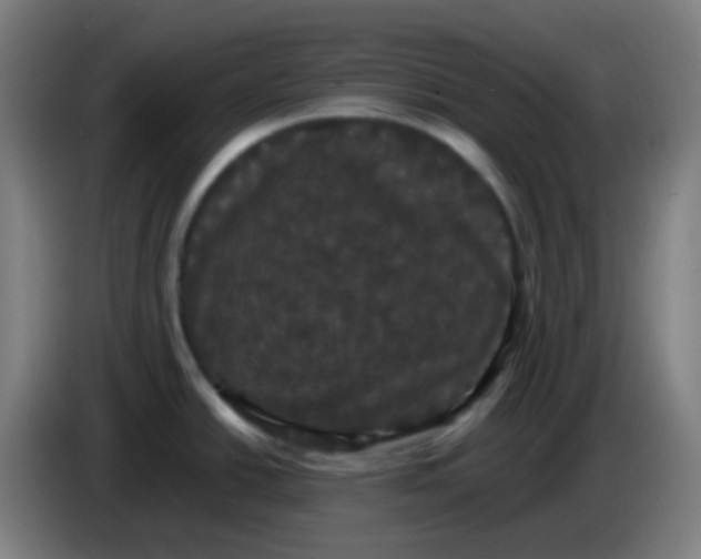 X0000085221438200703301654