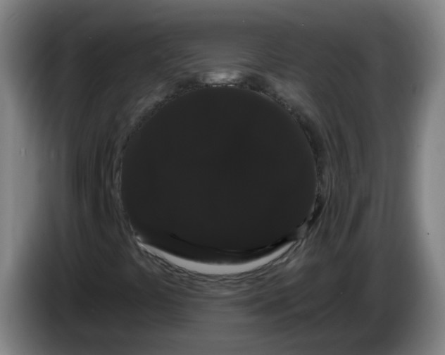X0000085221441200703301653