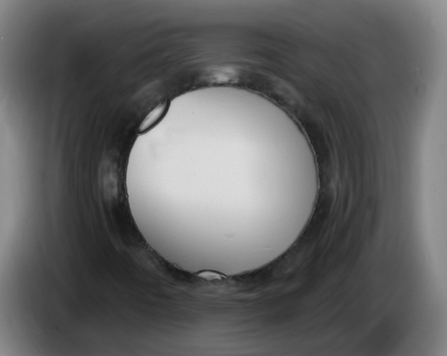 X0000085221442200703301653