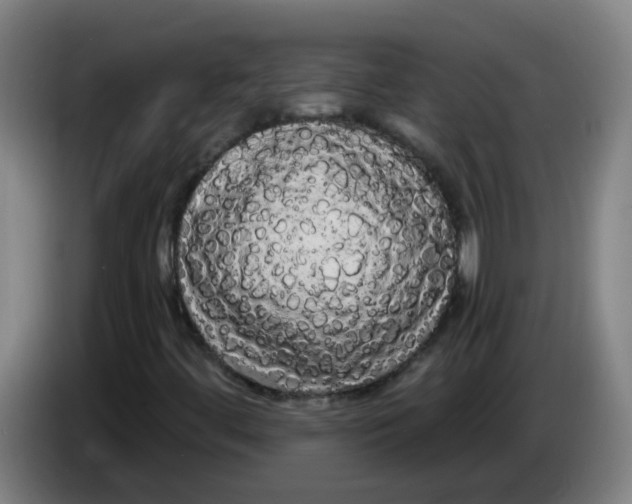 X0000085221444200703301653