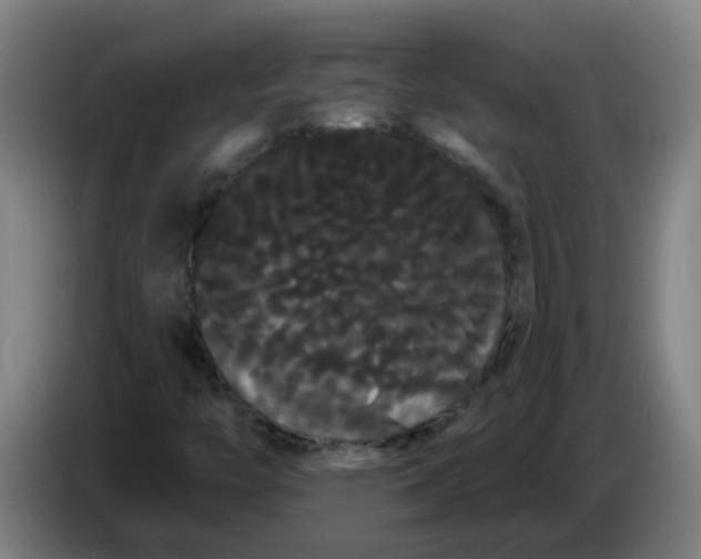 X0000085221446200703301653
