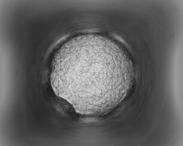 X0000085221448200703301653