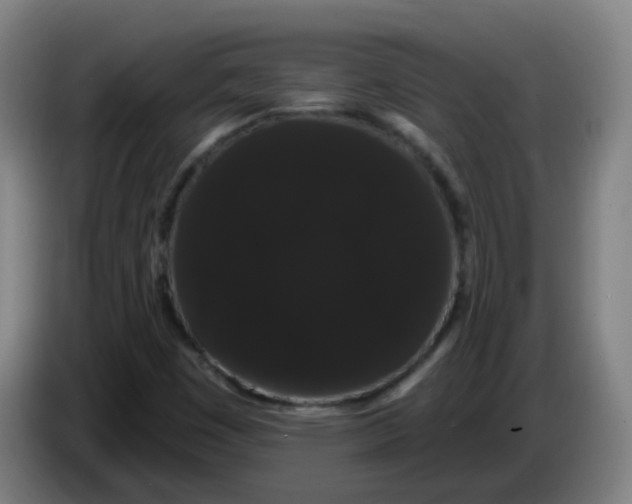 X0000085221449200703301653