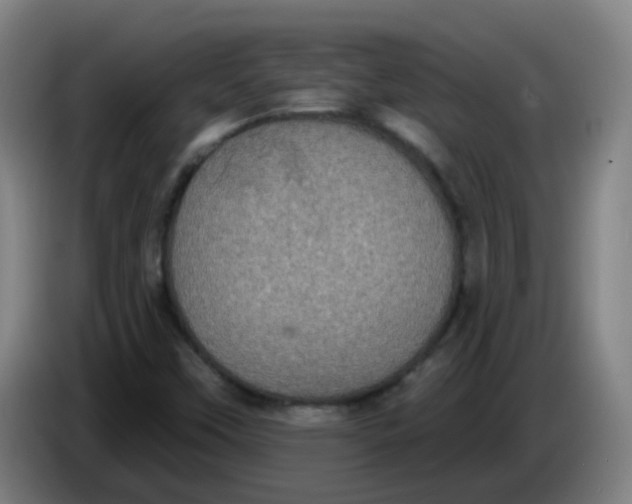 X0000085221451200703301653