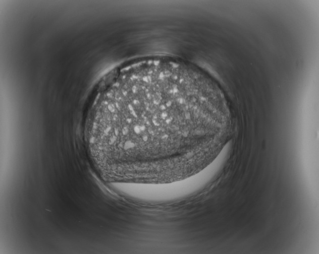 X0000085221452200703301653