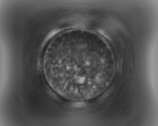 X0000085221454200703301653