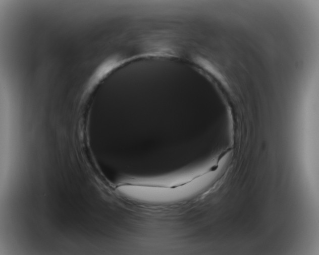 X0000085221455200703301653