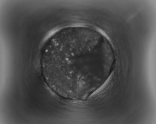 X0000085221456200703301653