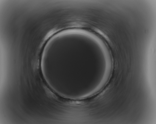 X0000085221459200703301653
