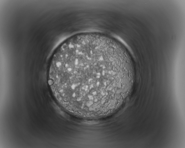 X0000085221460200703301653
