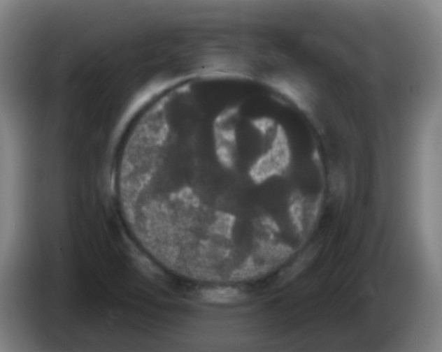 X0000085221462200703301653