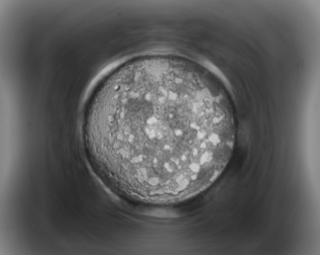 X0000085221464200703301653