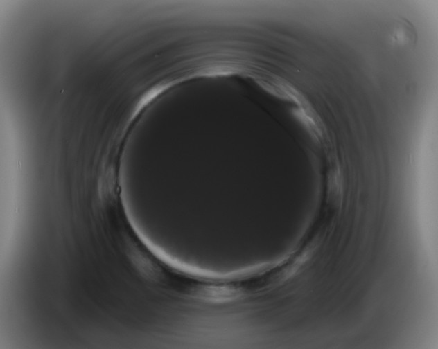 X0000085221465200703301653