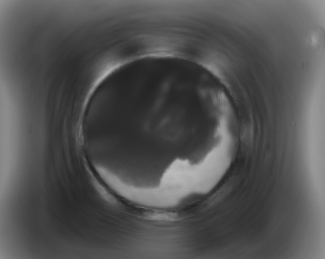 X0000085221466200703301653