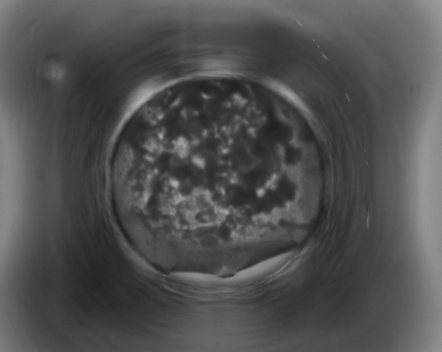 X0000085221467200703301653