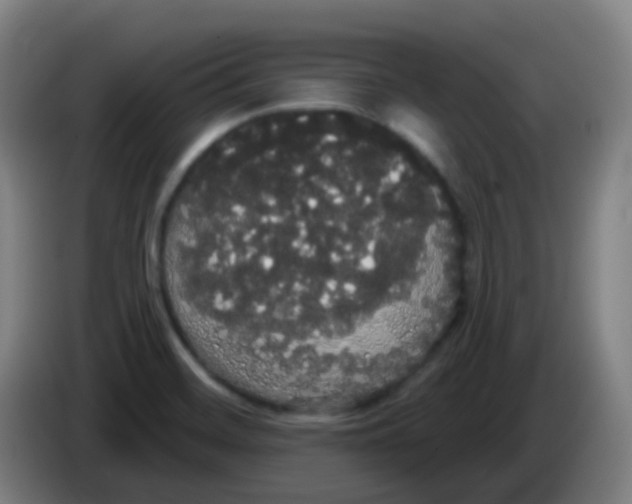 X0000085221468200703301653