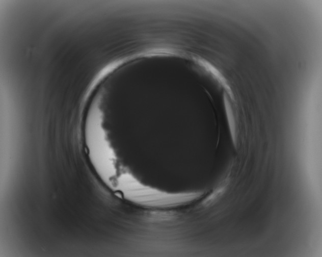 X0000085221469200703301653