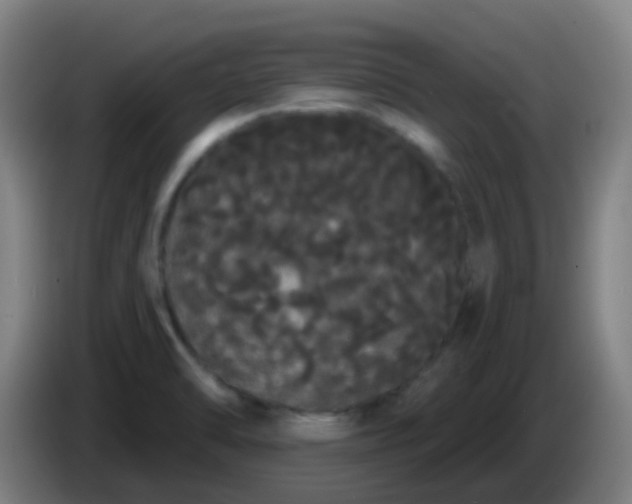 X0000085221470200703301653