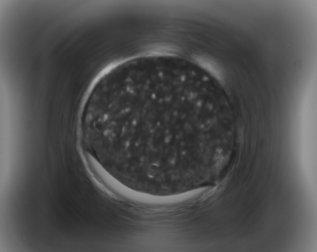 X0000085221471200703301653