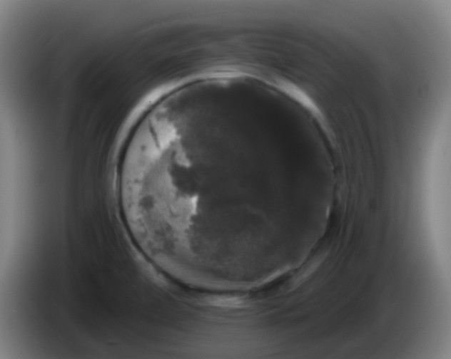 X0000085221472200703301653