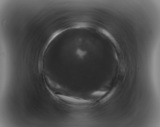 X0000085221473200703301653