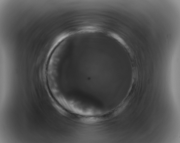 X0000085221474200703301653