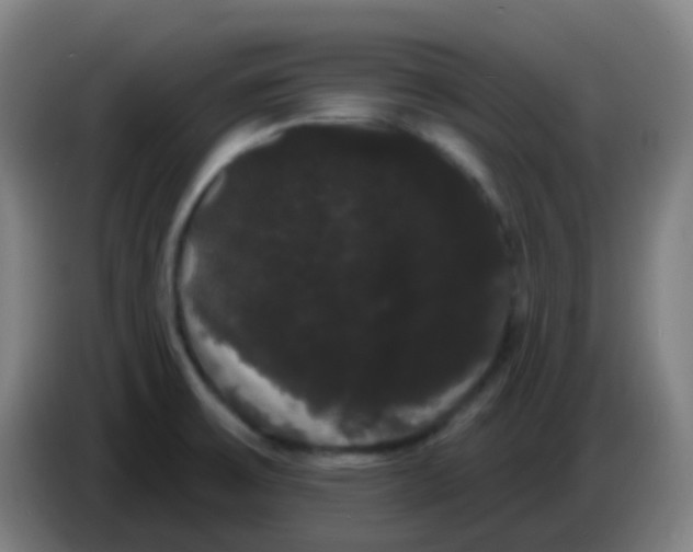 X0000085221475200703301653