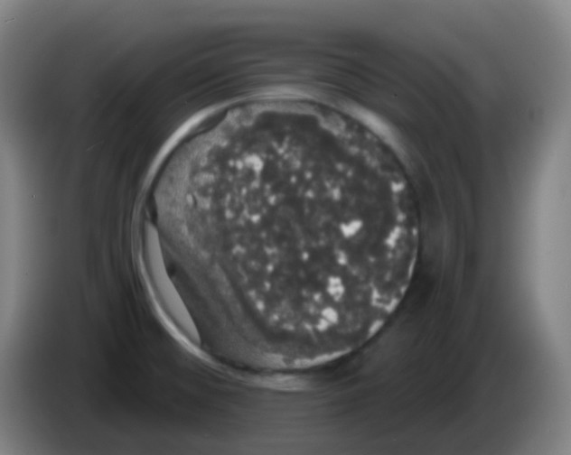 X0000085221476200703301653