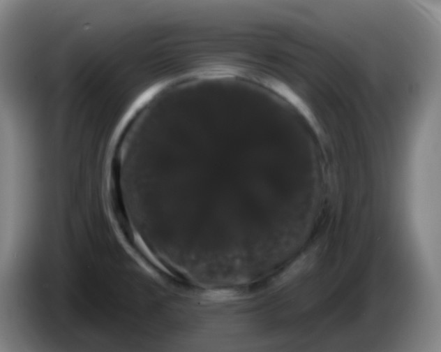 X0000085221477200703301653