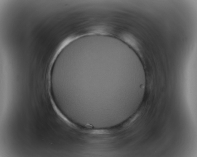 X0000085221479200703301652