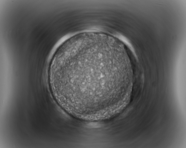 X0000085221480200703301652