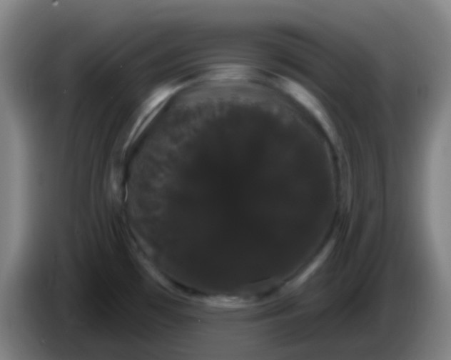 X0000085221481200703301652