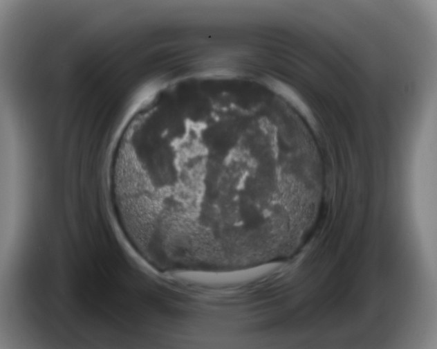 X0000085221483200703301652