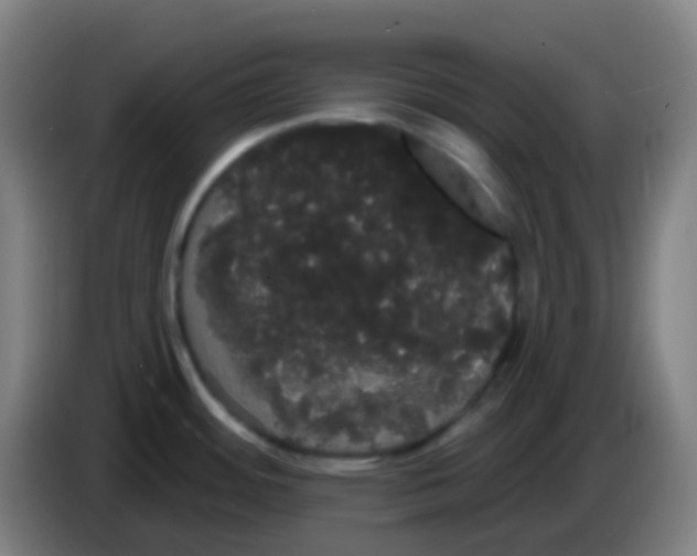 X0000085221484200703301652
