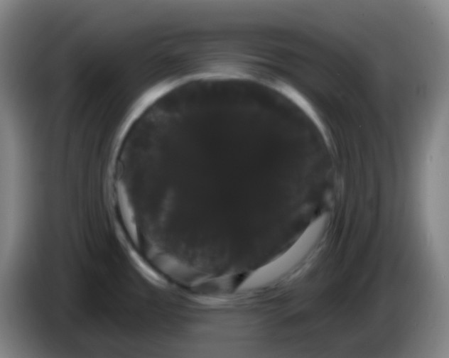 X0000085221485200703301652