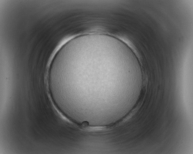 X0000085221486200703301652