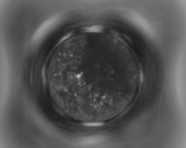 X0000085221487200703301652