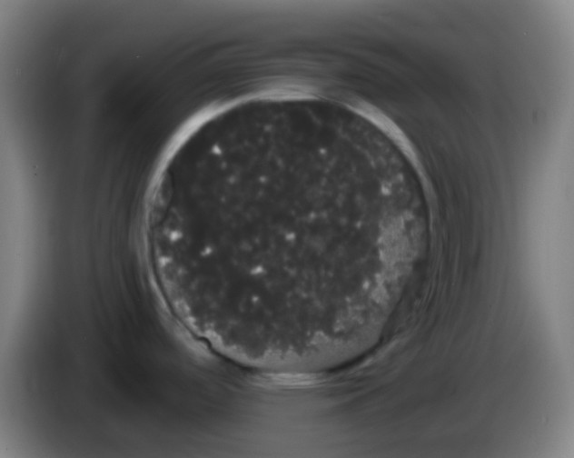 X0000085221488200703301652