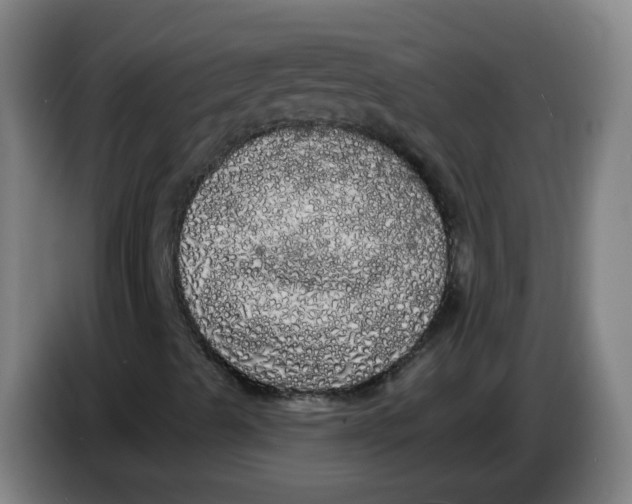 X0000085221489200703301652
