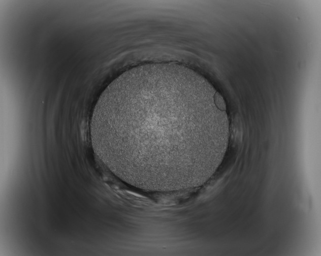 X0000085221490200703301652