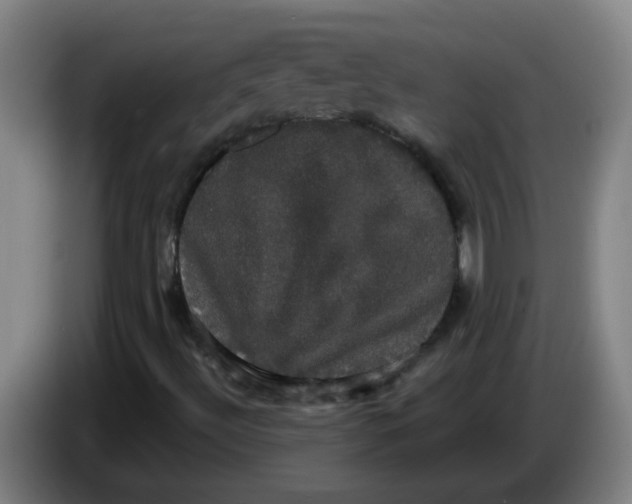 X0000085221492200703301652
