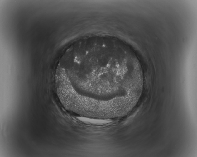 X0000085221494200703301652