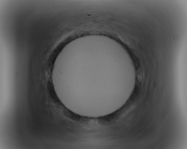 X0000085221495200703301652