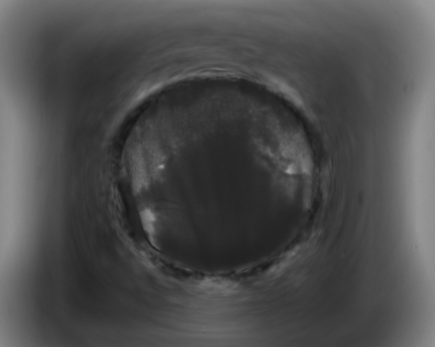 X0000085221496200703301652