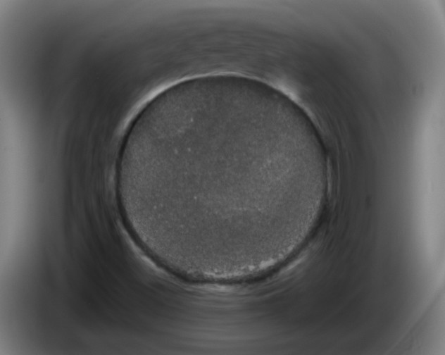 X0000085221500200703301652