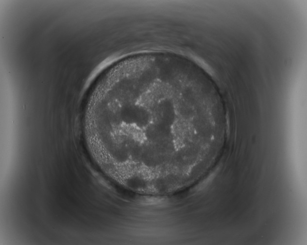 X0000085221501200703301652