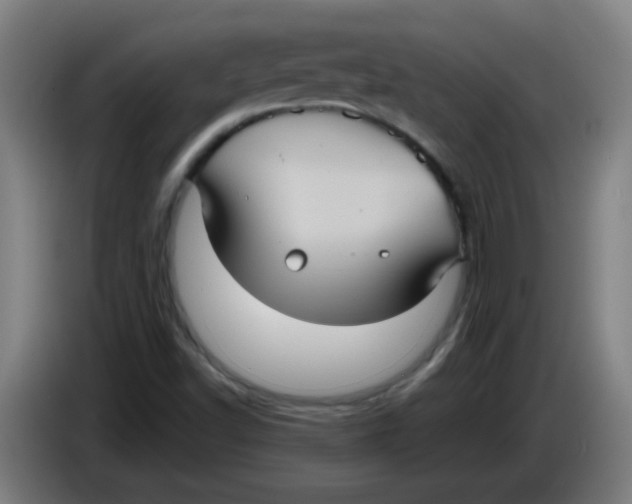 X0000085221502200703301652