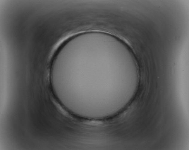 X0000085221503200703301652