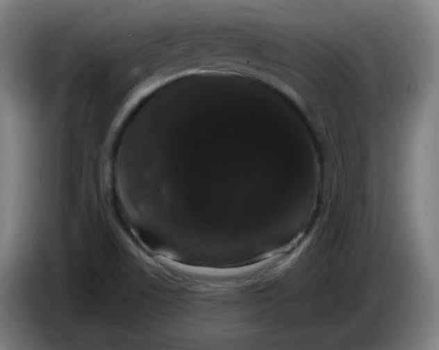 X0000085221506200703301652