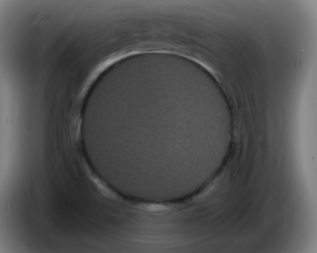 X0000085221507200703301652